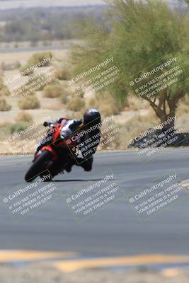 media/May-14-2023-SoCal Trackdays (Sun) [[024eb53b40]]/Turn 5 Tree of Life (1125am)/